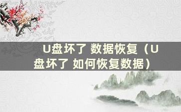 U盘坏了 数据恢复（U盘坏了 如何恢复数据）